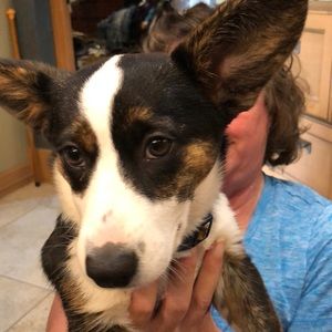 Meet your Posher, Jeri